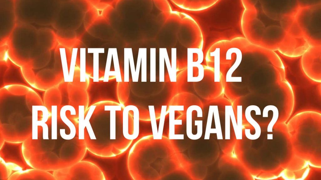 vitamin B12 risk to vegans